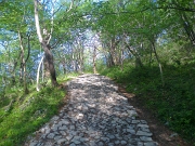 MONTE CORNIZZOLOo 1240 m/s.l.m. – sabato 28 aprile 2012 - FOTOGALLERY